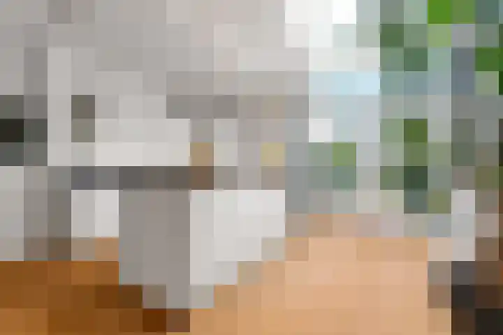 Dommer van Poldersveldtweg 13 Nijmegen thumbnail 9