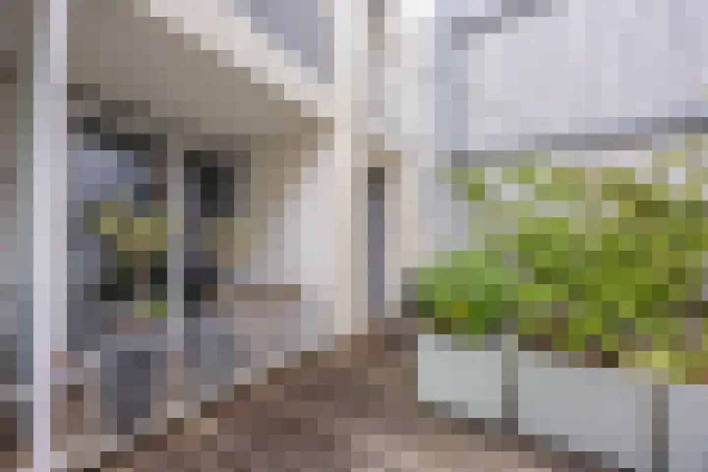 Dommer van Poldersveldtweg 29 Nijmegen thumbnail 24