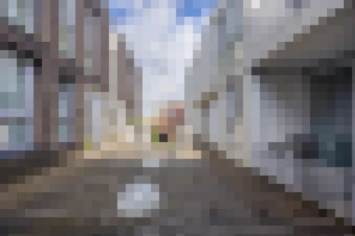 Dommer van Poldersveldtweg 29 Nijmegen thumbnail 25