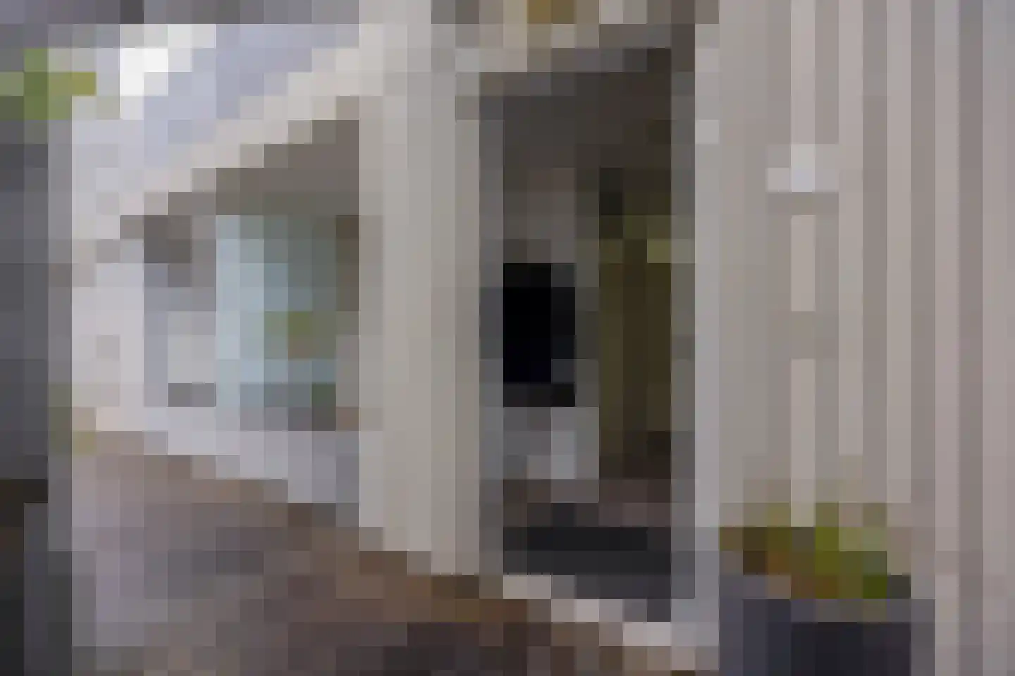 Dommer van Poldersveldtweg 29 Nijmegen thumbnail 5