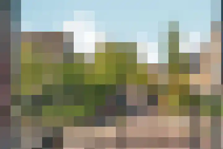 Dommer van Poldersveldtweg 3 A Nijmegen thumbnail 11
