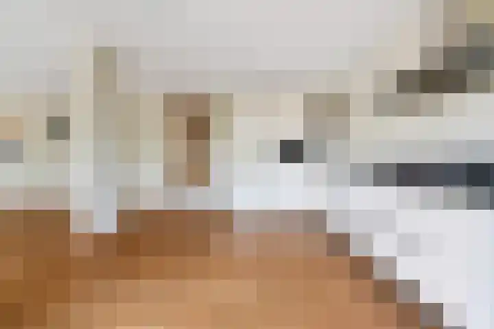 Dommer van Poldersveldtweg 3 A Nijmegen thumbnail 14
