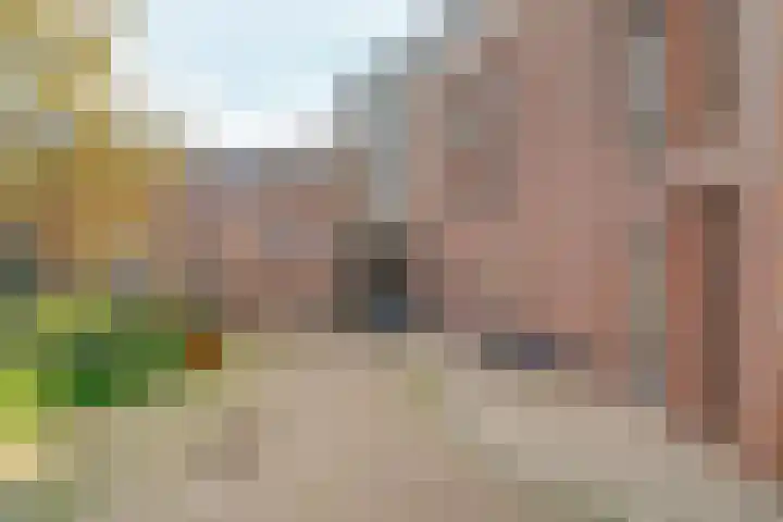 Dommer van Poldersveldtweg 3 A Nijmegen thumbnail 36