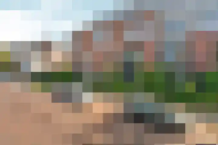 Dommer van Poldersveldtweg 3 A Nijmegen thumbnail 37