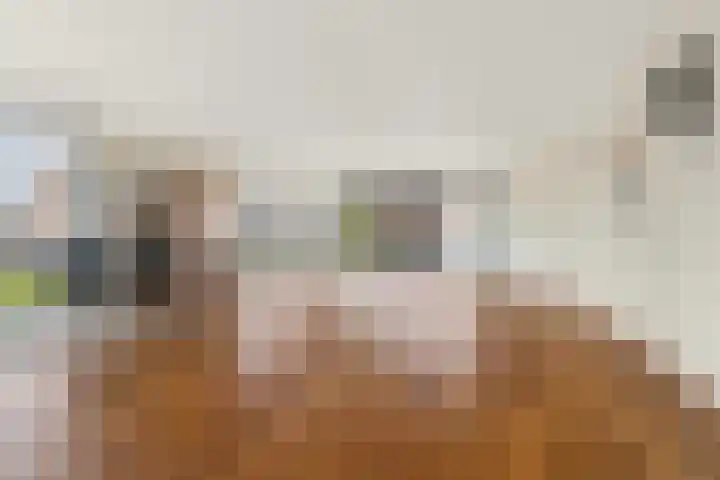 Dommer van Poldersveldtweg 3 A Nijmegen thumbnail 5