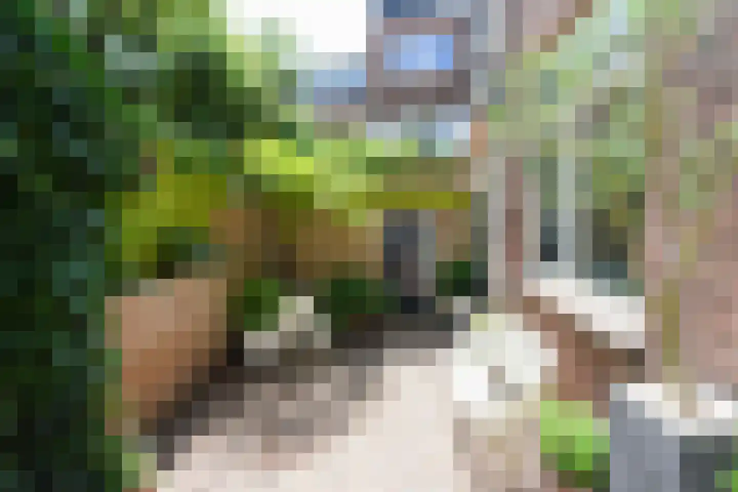 Dommer van Poldersveldtweg 59 A Nijmegen thumbnail 20