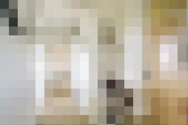 Dommeringdreef 143 Utrecht thumbnail 10