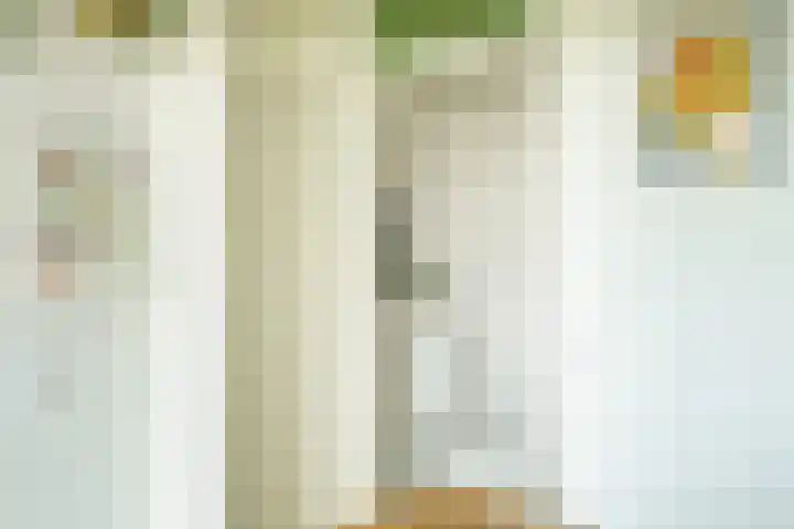 Dommeringdreef 143 Utrecht thumbnail 11