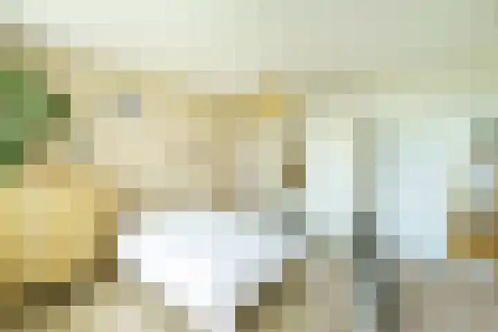 Dommeringdreef 143 Utrecht thumbnail 12