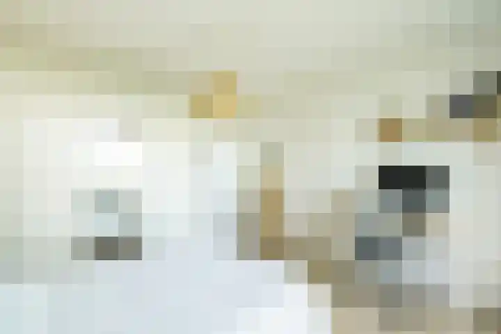 Dommeringdreef 143 Utrecht thumbnail 13