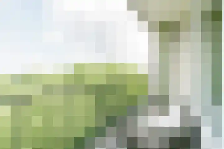 Dommeringdreef 143 Utrecht thumbnail 15