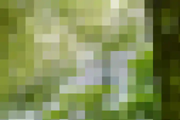 Dommeringdreef 143 Utrecht thumbnail 17