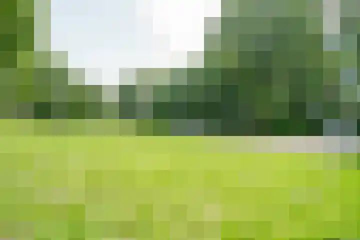 Dommeringdreef 143 Utrecht thumbnail 18
