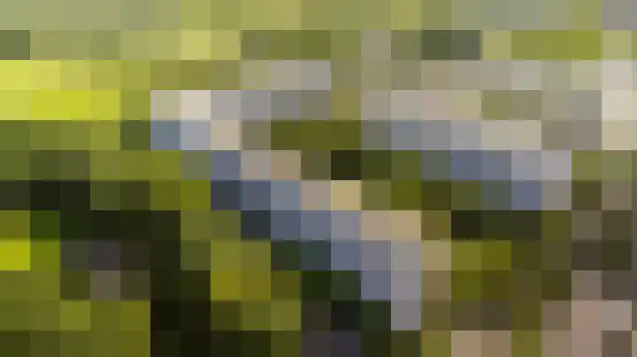 Dommeringdreef 143 Utrecht thumbnail 19