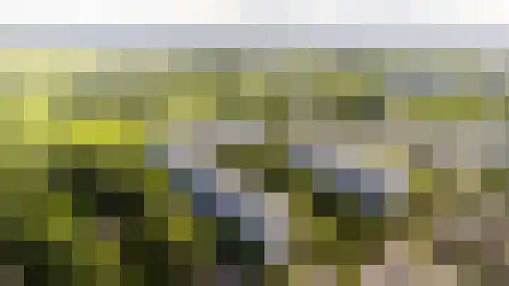Dommeringdreef 143 Utrecht thumbnail 20