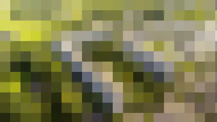Dommeringdreef 143 Utrecht thumbnail 21