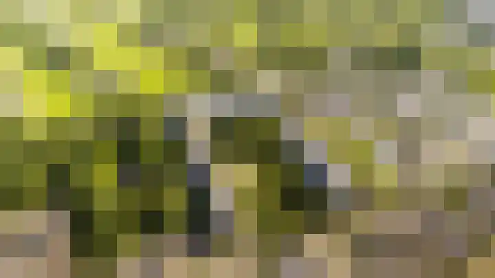 Dommeringdreef 143 Utrecht thumbnail 22