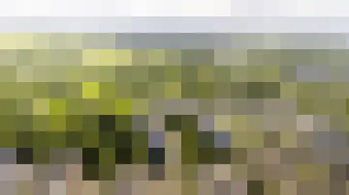 Dommeringdreef 143 Utrecht thumbnail 23