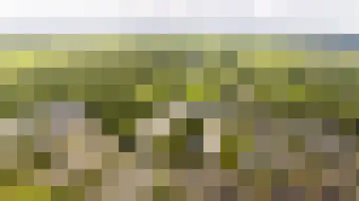 Dommeringdreef 143 Utrecht thumbnail 24