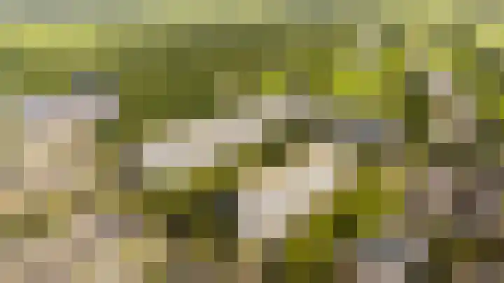 Dommeringdreef 143 Utrecht thumbnail 25