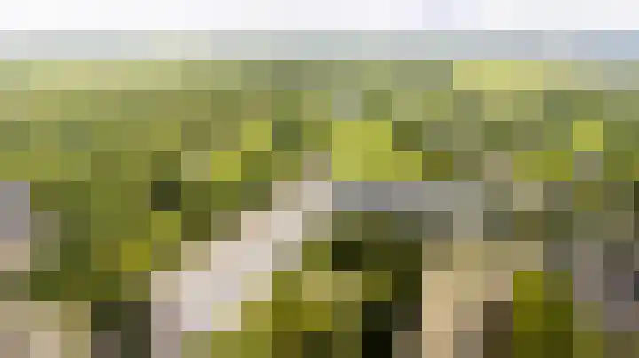 Dommeringdreef 143 Utrecht thumbnail 26