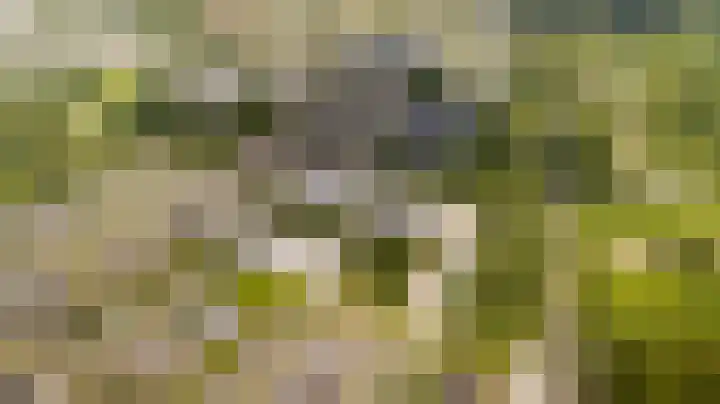 Dommeringdreef 143 Utrecht thumbnail 28