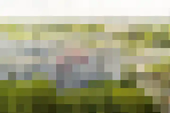 Dommeringdreef 143 Utrecht thumbnail 31