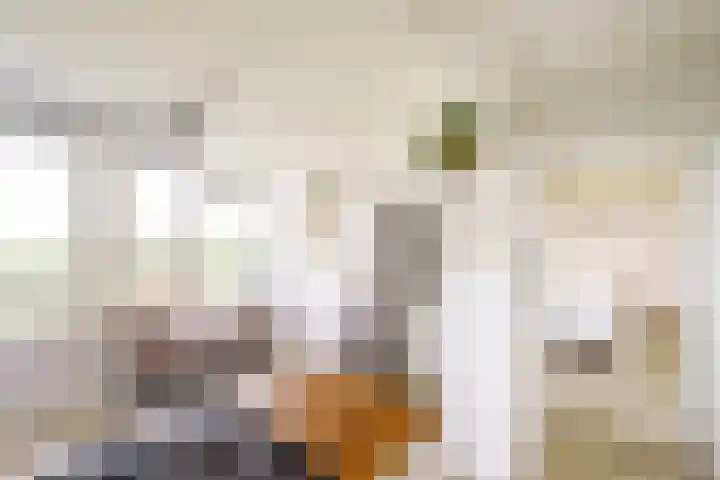 Dommeringdreef 143 Utrecht thumbnail 5