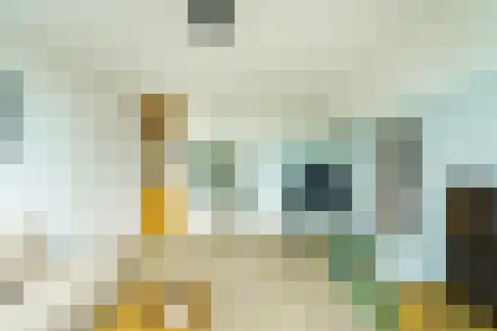 Dommeringdreef 143 Utrecht thumbnail 6