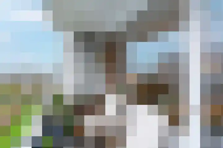 Dommeringdreef 179 Utrecht thumbnail 12