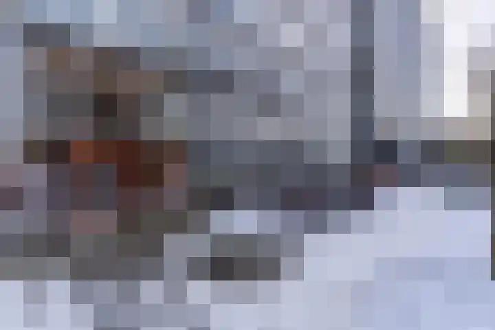 Dommeringdreef 179 Utrecht thumbnail 33