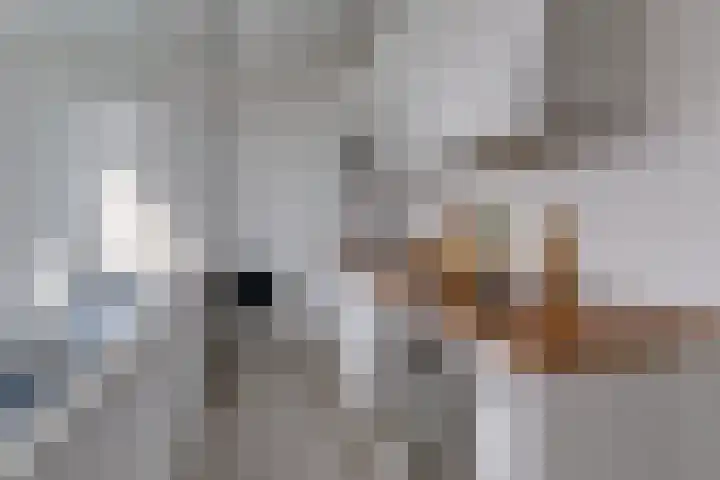 Dommeringdreef 185 Utrecht thumbnail 18
