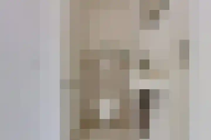 Dommeringdreef 185 Utrecht thumbnail 24
