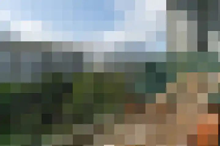 Dommeringdreef 185 Utrecht thumbnail 28
