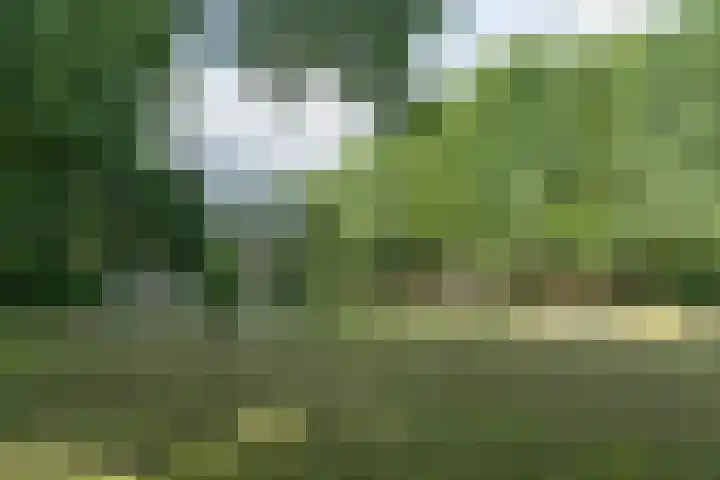 Dommeringdreef 185 Utrecht thumbnail 31