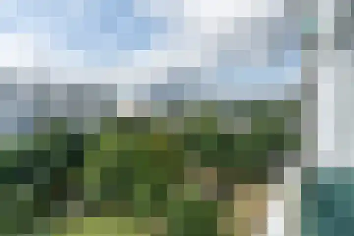 Dommeringdreef 185 Utrecht thumbnail 32