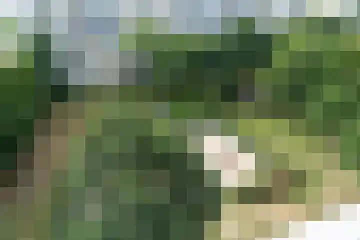 Dommeringdreef 185 Utrecht thumbnail 33