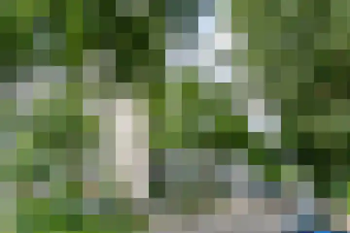 Dommeringdreef 185 Utrecht thumbnail 37