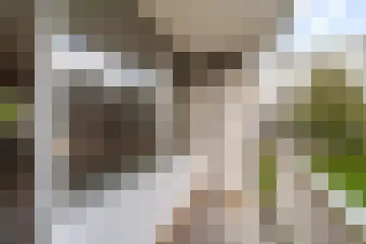 Dommeringdreef 215 Utrecht thumbnail 11