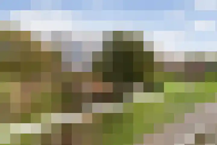 Dommeringdreef 215 Utrecht thumbnail 12