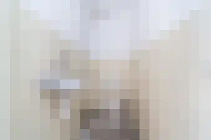 Dommeringdreef 215 Utrecht thumbnail 17