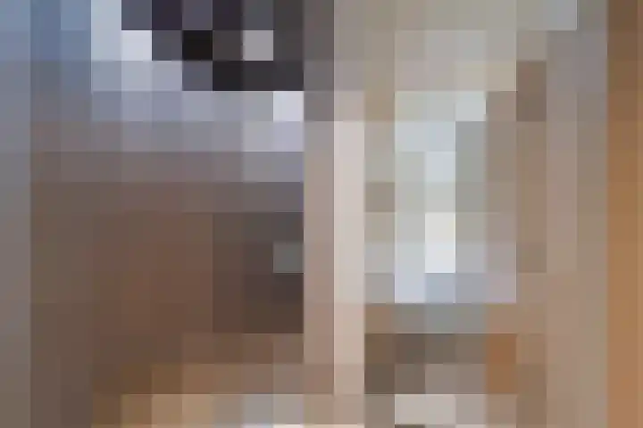 Dommeringdreef 215 Utrecht thumbnail 20