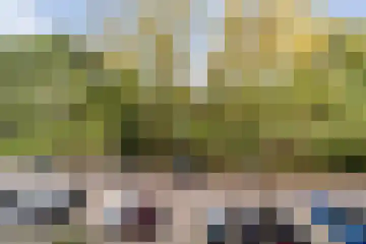 Dommeringdreef 215 Utrecht thumbnail 21