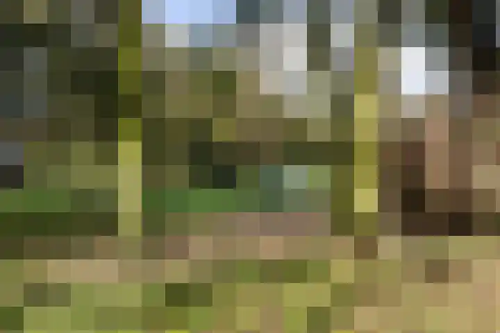 Dommeringdreef 215 Utrecht thumbnail 22