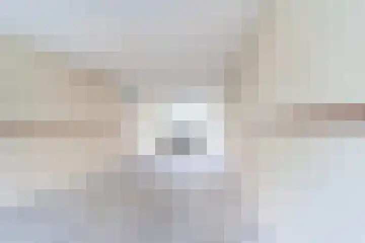 Dommeringdreef 215 Utrecht thumbnail 7