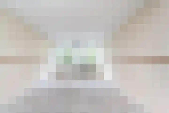 Dommeringdreef 215 Utrecht thumbnail 8
