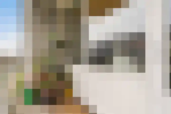 Dommeringdreef 225 Utrecht thumbnail 12