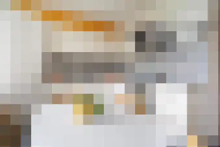 Dommeringdreef 225 Utrecht thumbnail 14