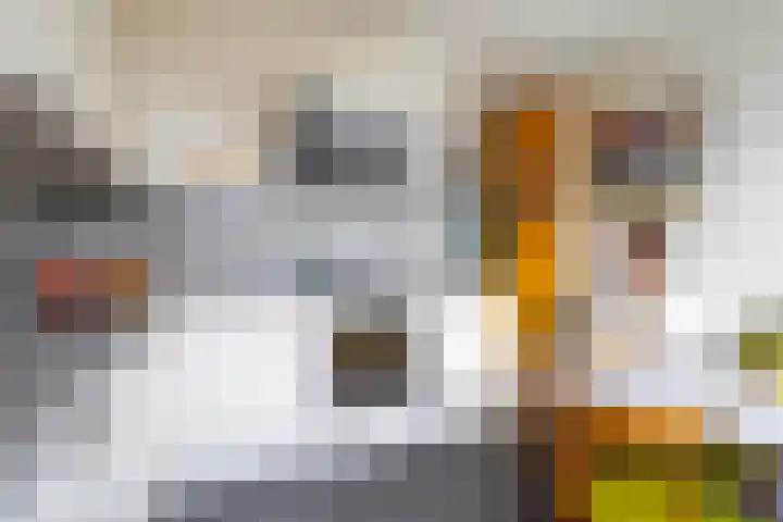 Dommeringdreef 225 Utrecht thumbnail 15