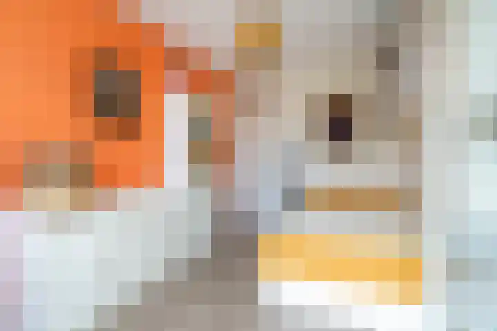 Dommeringdreef 225 Utrecht thumbnail 18